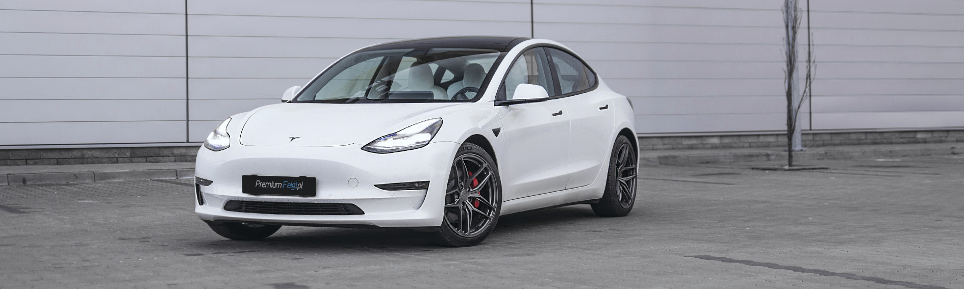 Customer car gallery - wheels for Tesla Model 3 | BC Forged RZ22 | 19" - PremiumFelgi