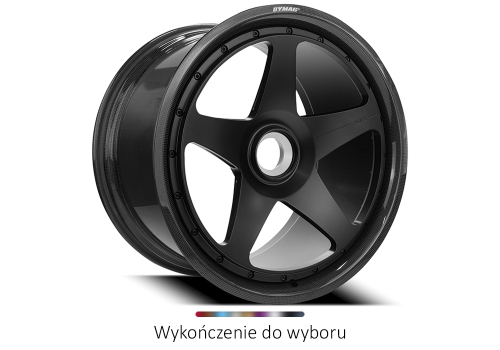 Wheels for Nissan GT-R R35 - AL13 CF-C005R
