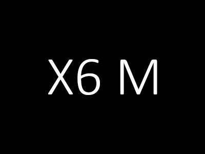 X6 M