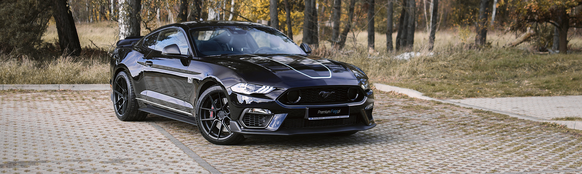 Realizacja - Felgi do Ford Mustang GT 5.0 | Ferrada F8-FR8 - PremiumFelgi